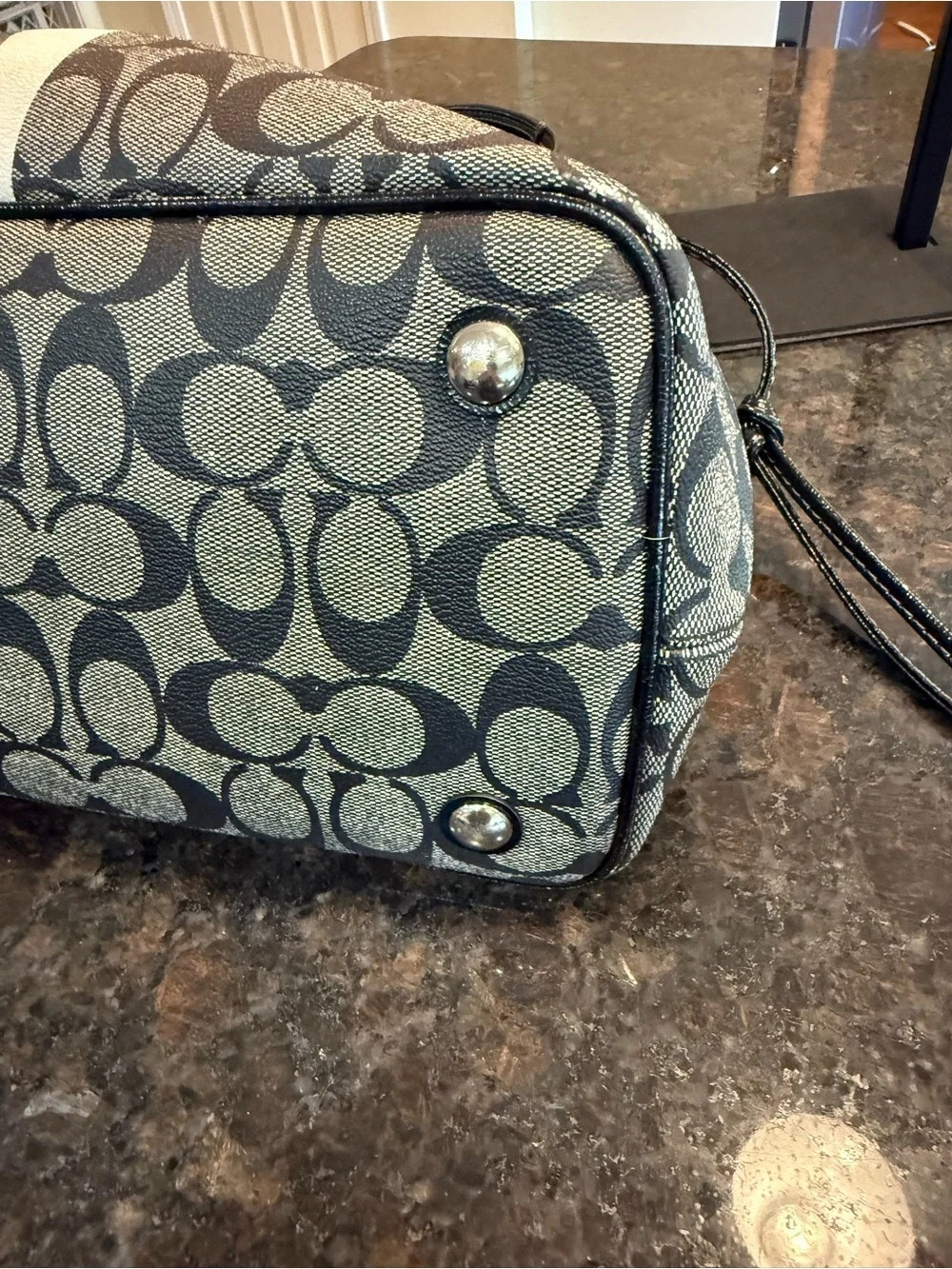 Coach Gray and Black Signature Stripe Tote